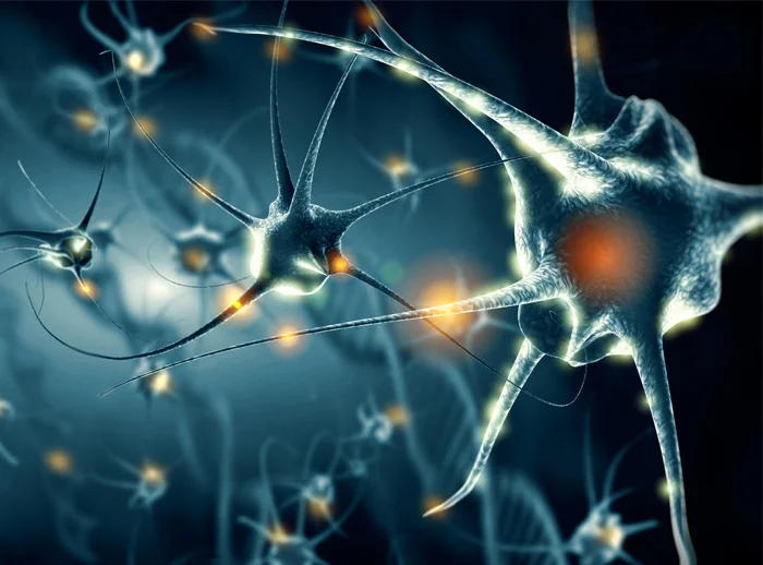 Amyotrophic Lateral Sclerosis (ALS) Treatment in Delhi